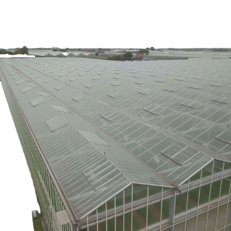 Customizable Poly Tunnel Green House Good Quality Multi-span Polytunnel Berry Greenhouse For Sale