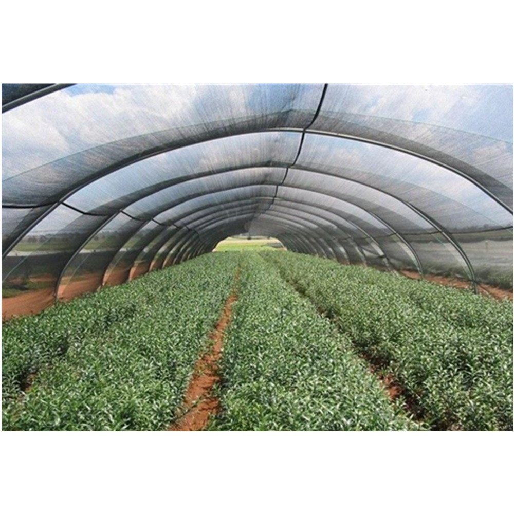 Searea Green Shade Net 100% New HDPE Sun Agricultural Green Shade Net Agriculture Sun Shade Netting For Greenhouse