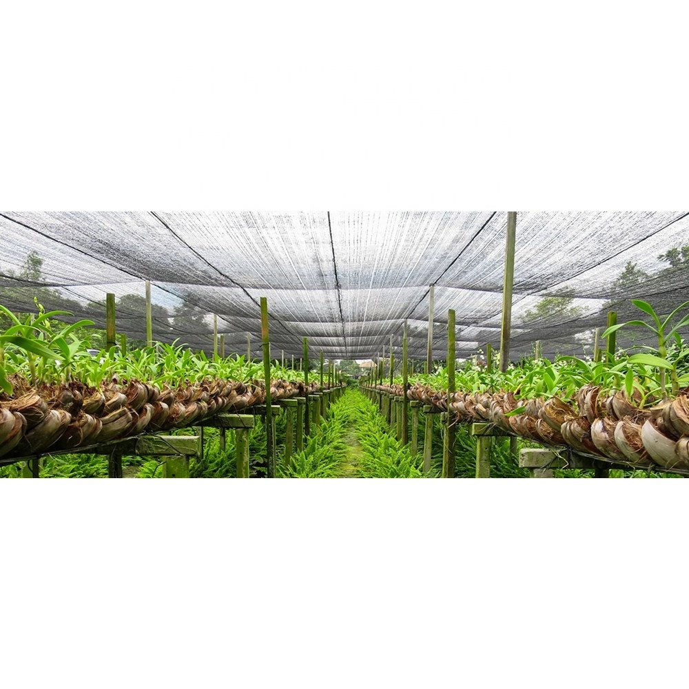 Searea Green Shade Net 100% New HDPE Sun Agricultural Green Shade Net Agriculture Sun Shade Netting For Greenhouse