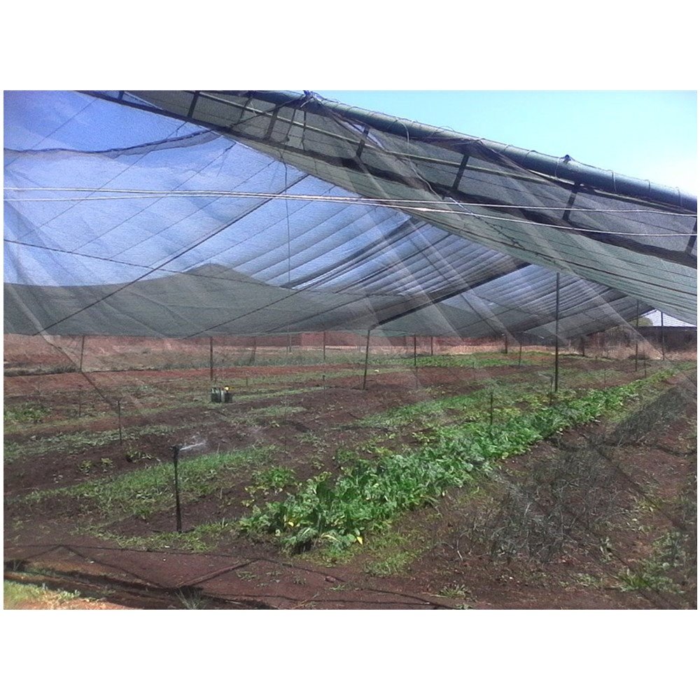 Searea Green Shade Net 100% New HDPE Sun Agricultural Green Shade Net Agriculture Sun Shade Netting For Greenhouse
