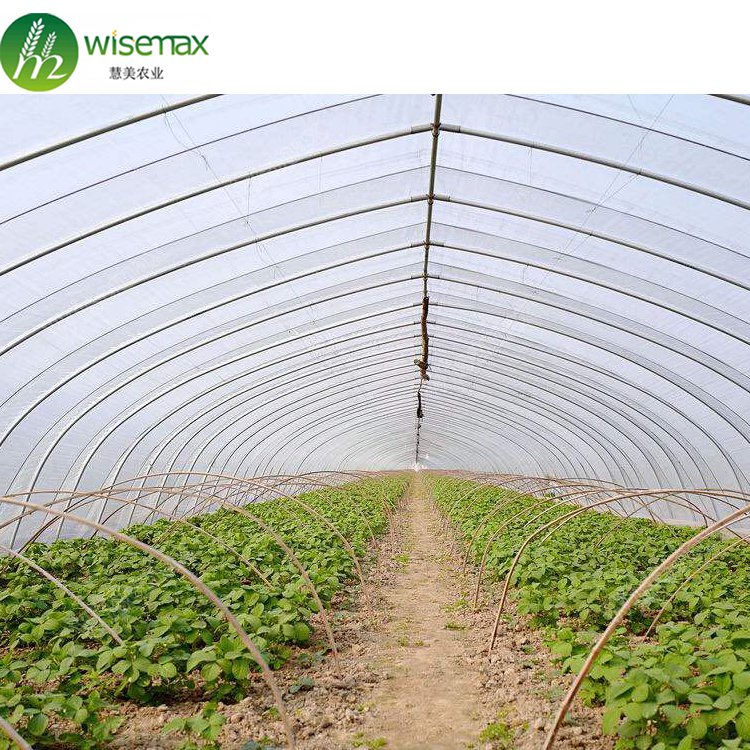 Wisemax Agricultural rolling up motor cooling system greenhouse guangzhou