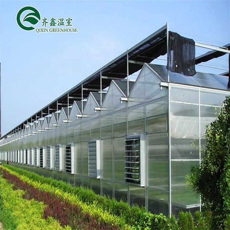 POLYCARBONATE GREEN HOUSE Prefabric green house for growing tomato