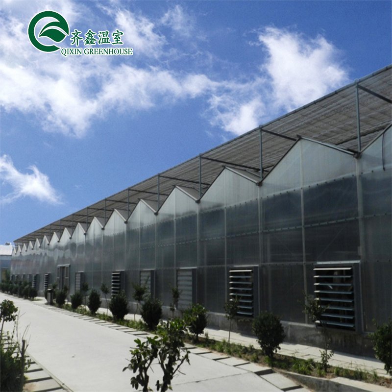 POLYCARBONATE GREEN HOUSE Prefabric green house for growing tomato