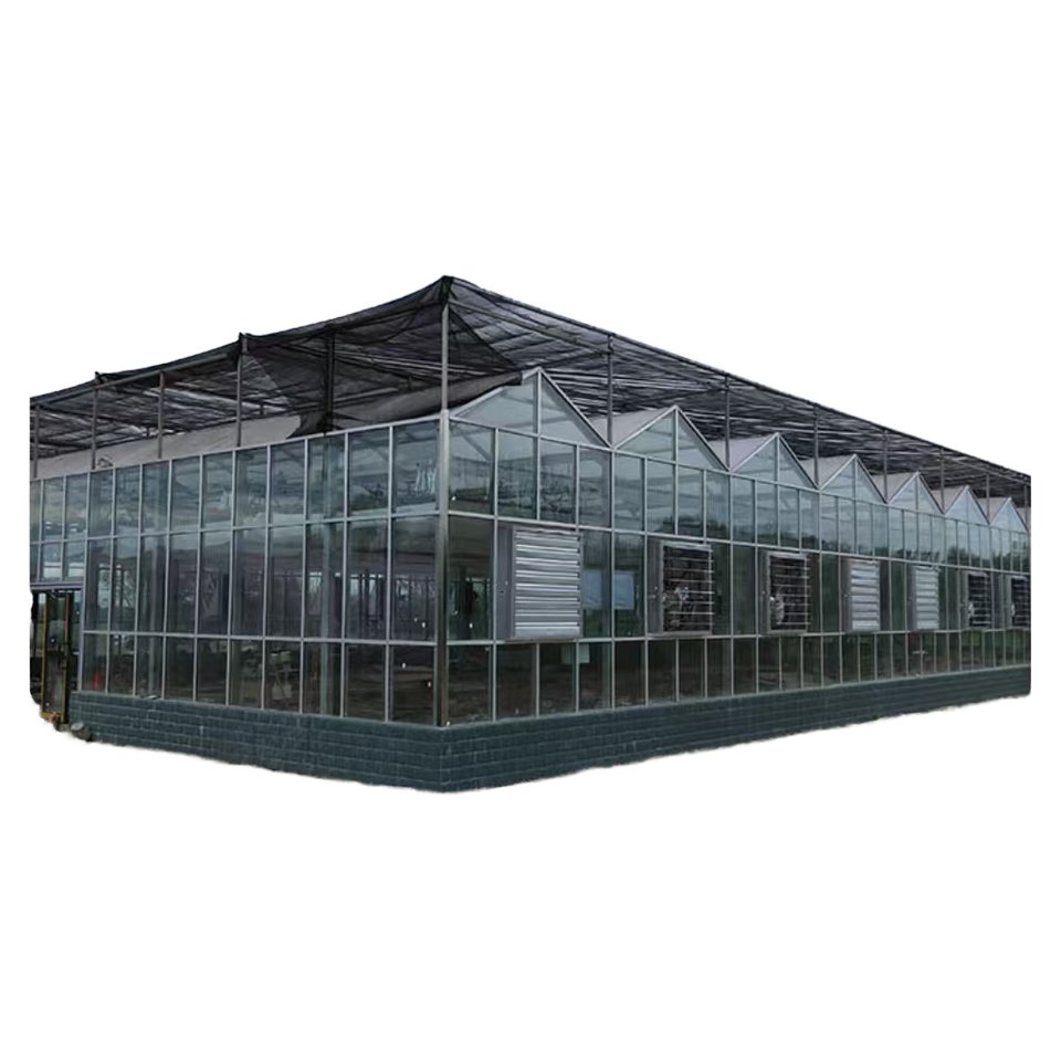 Commercial Indoor Hydroponic Growing System Large Multi-Span Greenhouse Square Steel Film Construction Agricultural Plant
