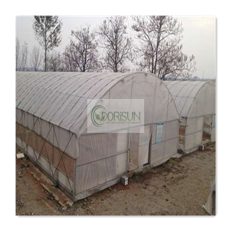 Automated Folding Used Tropical-Large Greenhouse Commercial Anti Uv Structure Large Greenhouse for Orchid