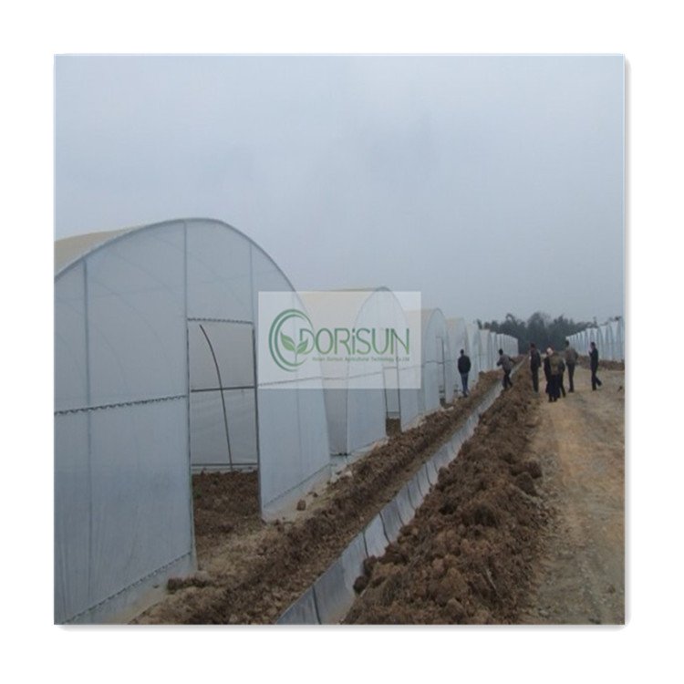 Automated Folding Used Tropical-Large Greenhouse Commercial Anti Uv Structure Large Greenhouse for Orchid