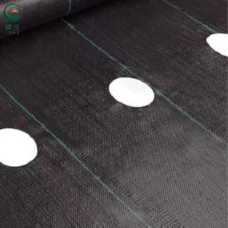 Factory direct PE weeding cloth agricultural flower anti-grass cloth orchard greenhouses vegetable field anti-grass cloth
