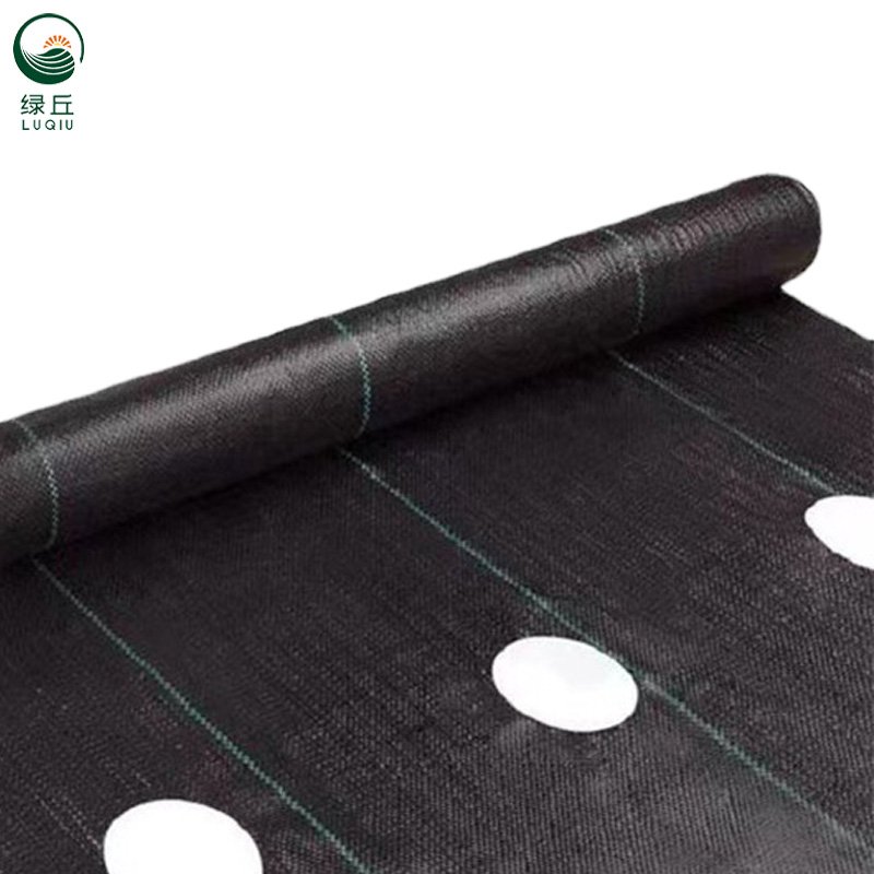 Factory direct PE weeding cloth agricultural flower anti-grass cloth orchard greenhouses vegetable field anti-grass cloth