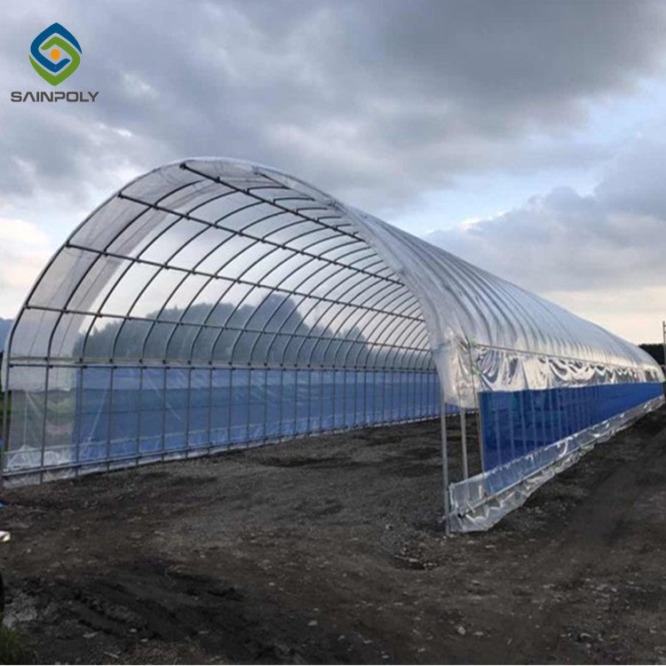 Greenhouse made in China tunnel hoop house agricultural greenhouse