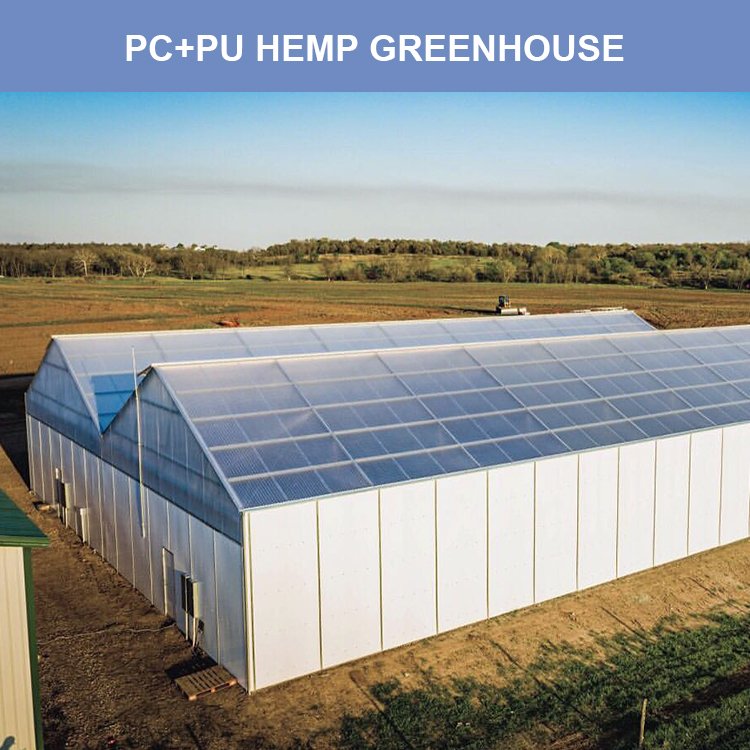 Large Commercial Green Houses Agriculture Greenhouse Guangzhou