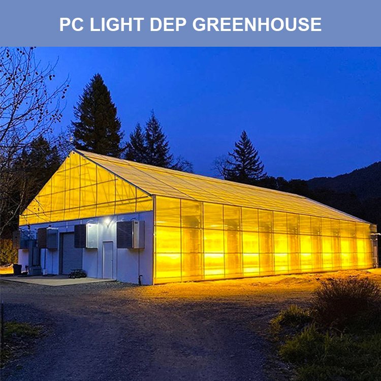 Large Commercial Green Houses Agriculture Greenhouse Guangzhou