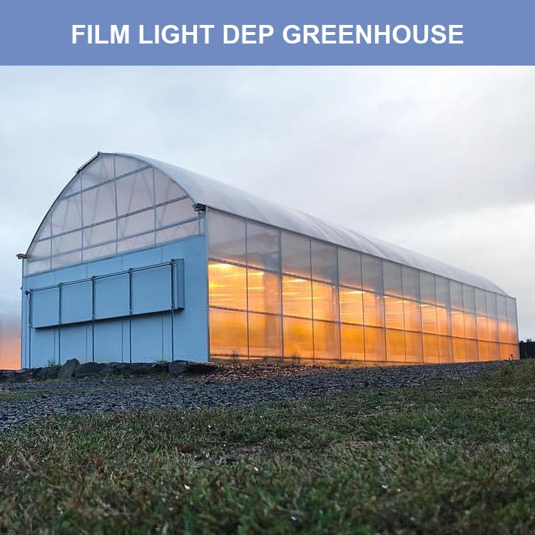 Large Commercial Green Houses Agriculture Greenhouse Guangzhou