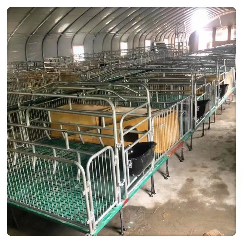High Quality Large Single-Layer Greenhouse Farm Shading Rain Shelter PE Film Steel Material Poultry Growth Breeding Agricultural