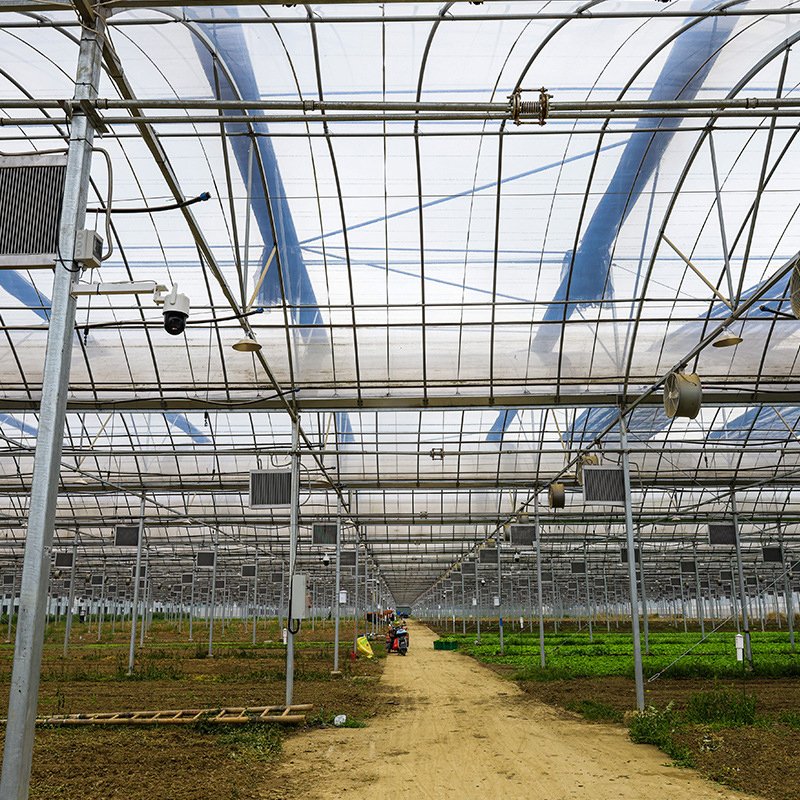 Agricultural Muti-span film tunnel seedling greenhouse for soilless culture growing and hydroponic growing