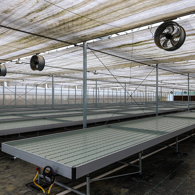 Agricultural Muti-span film tunnel seedling greenhouse for soilless culture growing and hydroponic growing