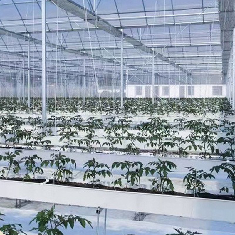 Agricultural Muti-span film tunnel seedling greenhouse for soilless culture growing and hydroponic growing