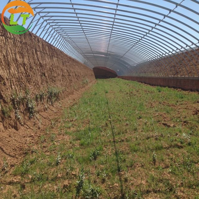 High Strength Easily Assembled Solar Greenhouse with Greenhouse Benches for Vegetable Flower Quilt Film Large Customized Size