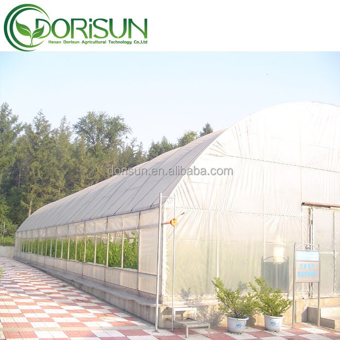 Resist Fog And Resist Oxidation Tunnel PE Material Agricultural Greenhouse