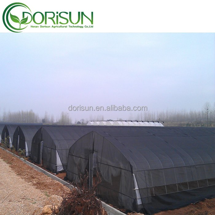 Resist Fog And Resist Oxidation Tunnel PE Material Agricultural Greenhouse