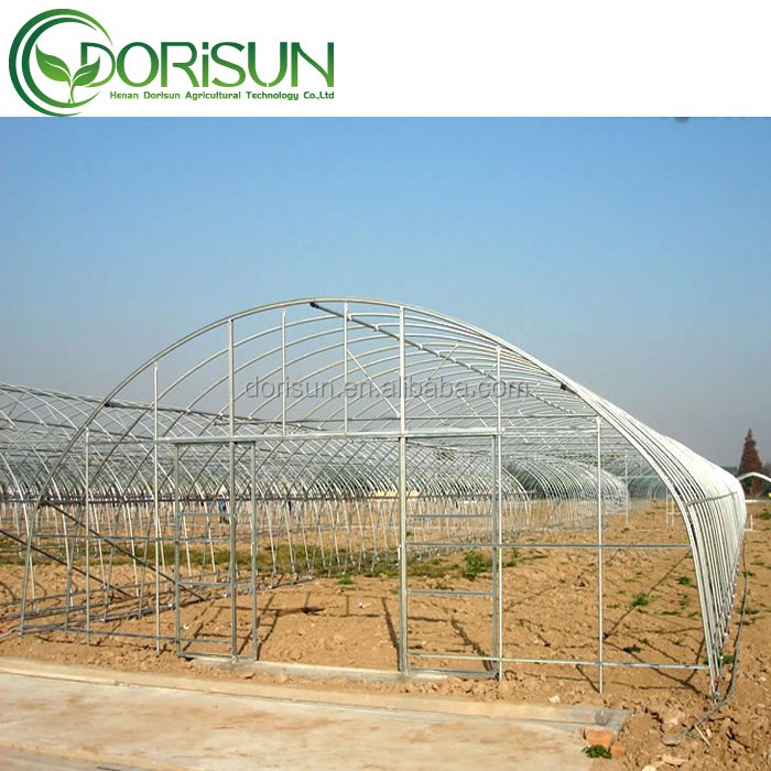 Resist Fog And Resist Oxidation Tunnel PE Material Agricultural Greenhouse
