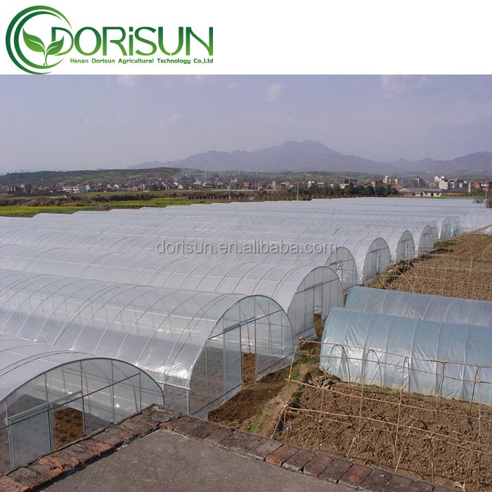 Resist Fog And Resist Oxidation Tunnel PE Material Agricultural Greenhouse