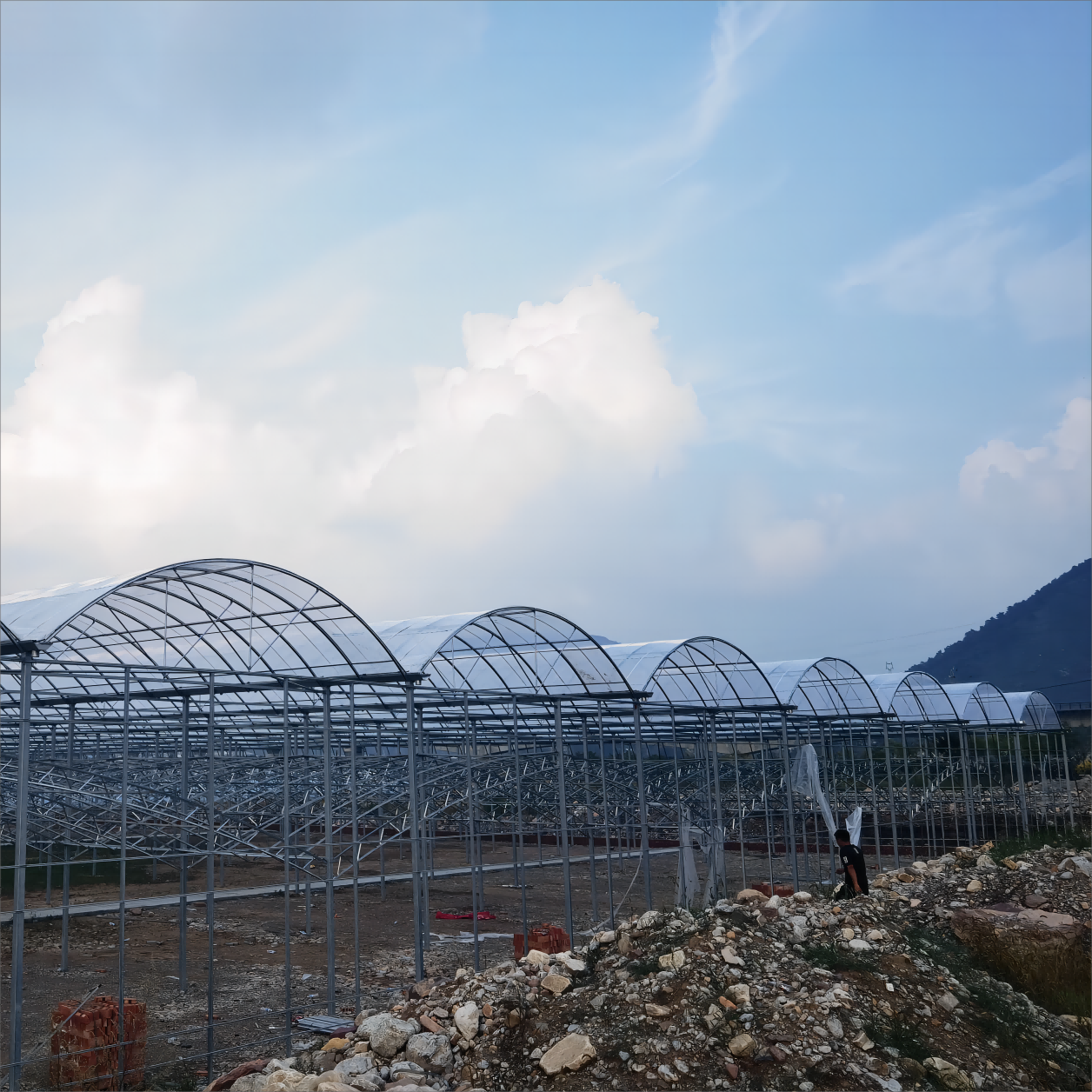 Low Cost Film Multi-span Greenhouse For Growing Strawberry And Economic Tunnel Plastic Flim Greenhouse For Vegetable