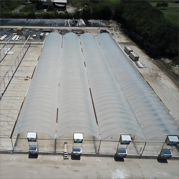 Low Cost Film Multi-span Greenhouse For Growing Strawberry And Economic Tunnel Plastic Flim Greenhouse For Vegetable
