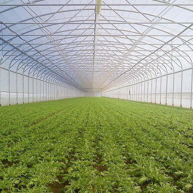 China Agricultural Commercial Farming Poly Tunnel Arch Frame Green House Artificial Greenhouse For Pepper