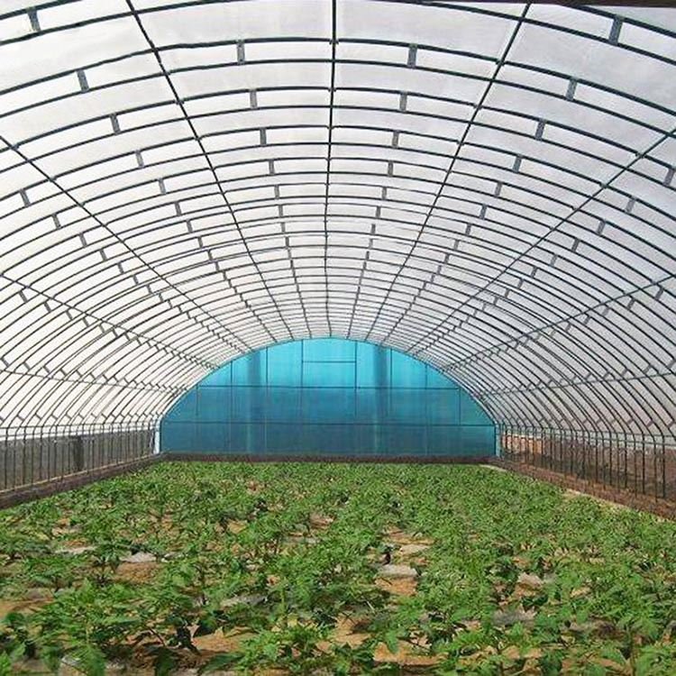 China Agricultural Commercial Farming Poly Tunnel Arch Frame Green House Artificial Greenhouse For Pepper