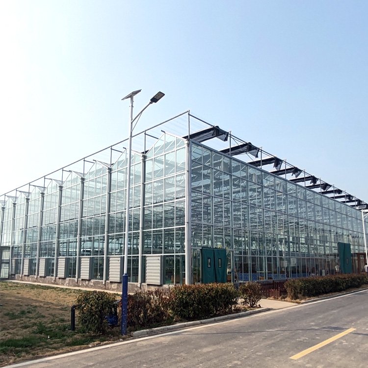 The Cheapest Hot Sale green house greenhouse Agricultural/Commercial glass greenhouse