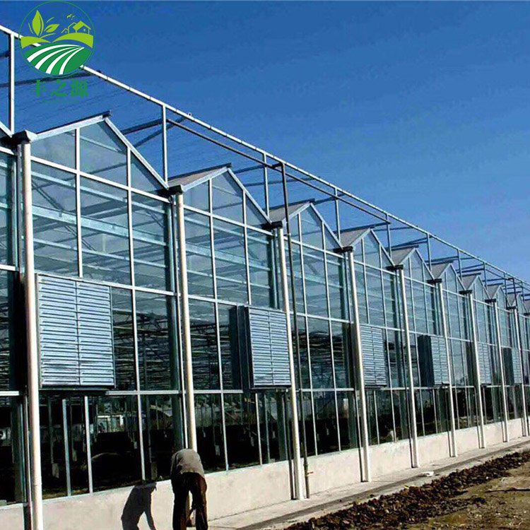 The Cheapest Hot Sale green house greenhouse Agricultural/Commercial glass greenhouse