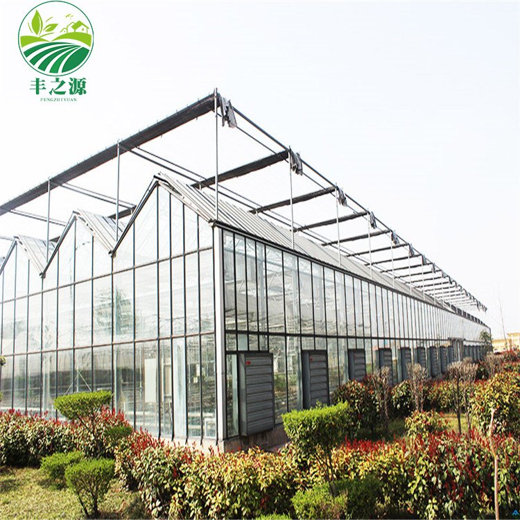 The Cheapest Hot Sale green house greenhouse Agricultural/Commercial glass greenhouse