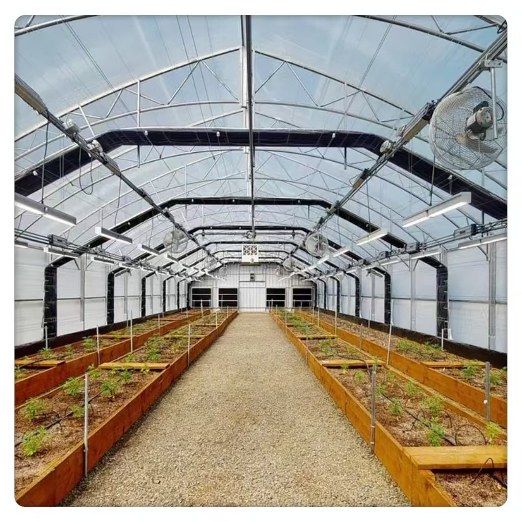 Wholesale Large Square Greenhouse Hydroponic PE & LDPE Agricultural Tunnel Double-Layer Steel for Plant Usage single greenhouse
