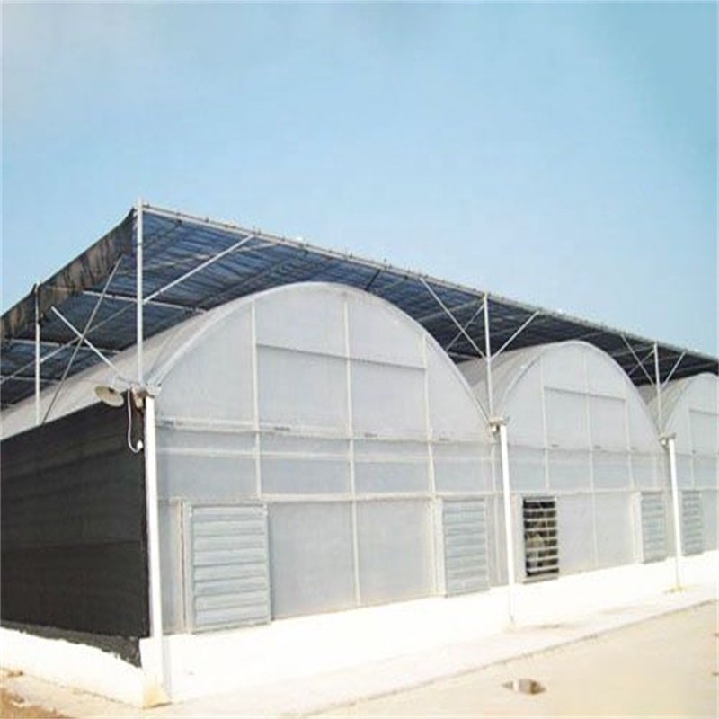 Commerical Polycarbonate houses/Green House for Agriculture greenhouse