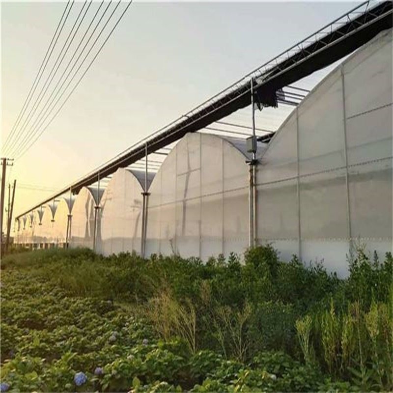 Commerical Polycarbonate houses/Green House for Agriculture greenhouse