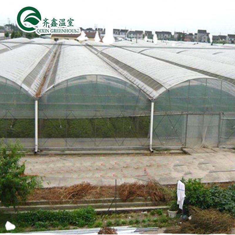Commerical Polycarbonate houses/Green House for Agriculture greenhouse