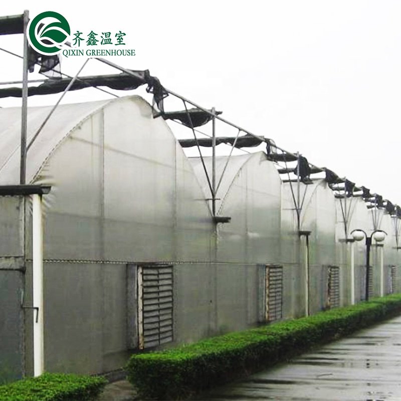 Commerical Polycarbonate houses/Green House for Agriculture greenhouse
