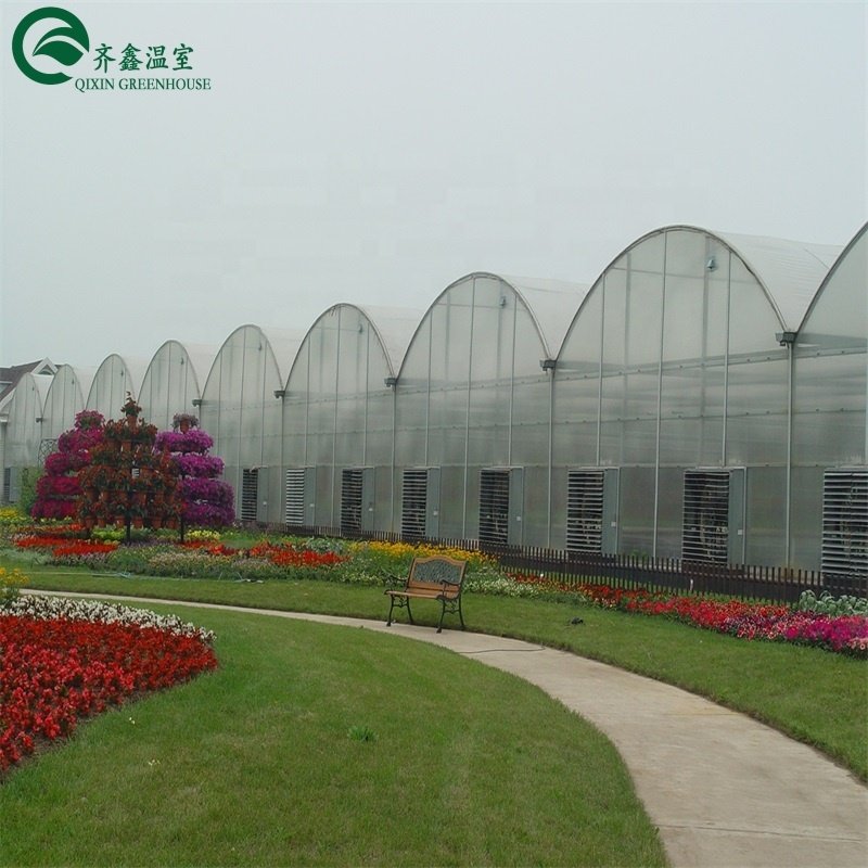 Commerical Polycarbonate houses/Green House for Agriculture greenhouse