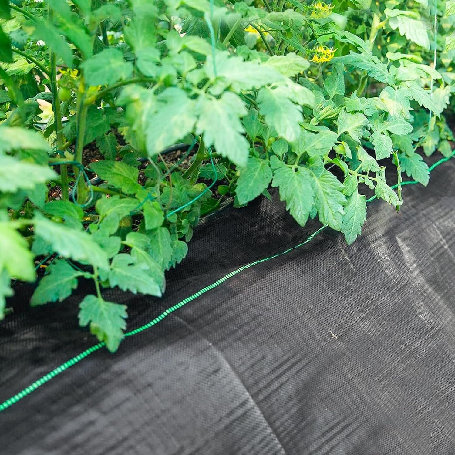 agriculture farming greenhouse garden pp woven plastic weed control mat ground cover