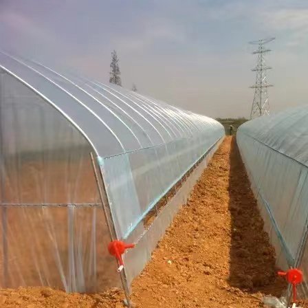 Good Quality And Easily Installed Agricultural/Commercial Green House Greenhouse