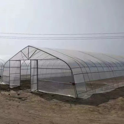 Good Quality And Easily Installed Agricultural/Commercial Green House Greenhouse