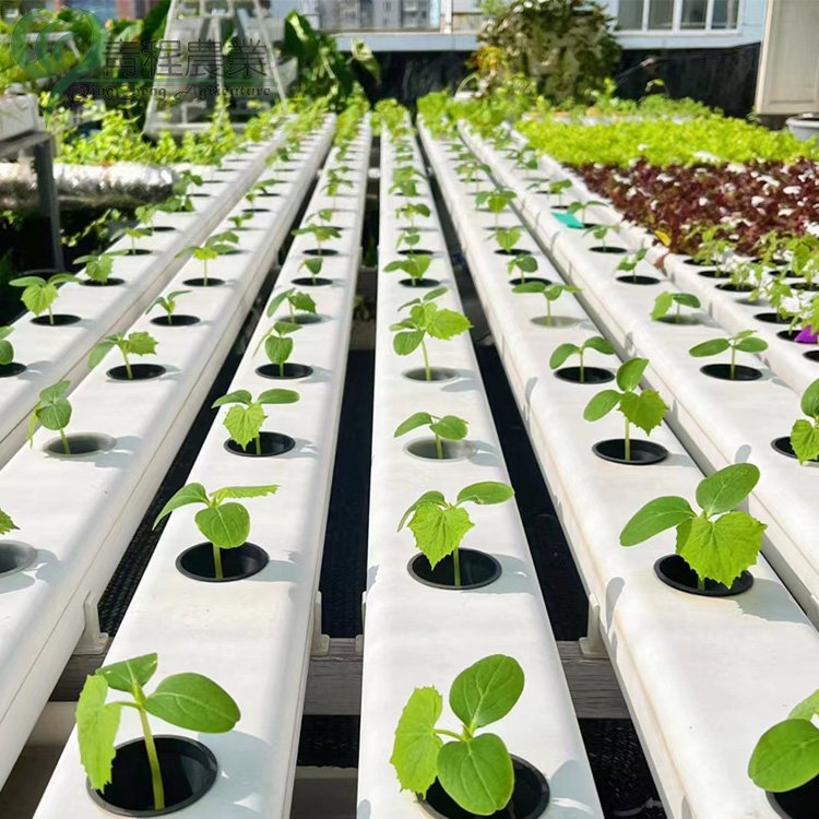 Lettuce Planting Tool PVC Channel Grow System for Lettuce Strawberry