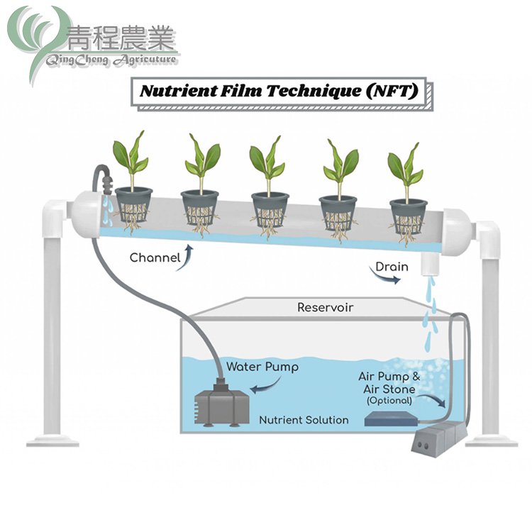 Lettuce Planting Tool PVC Channel Grow System for Lettuce Strawberry