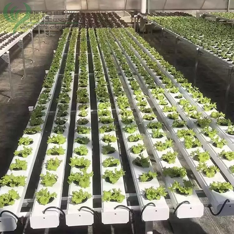 Lettuce Planting Tool PVC Channel Grow System for Lettuce Strawberry