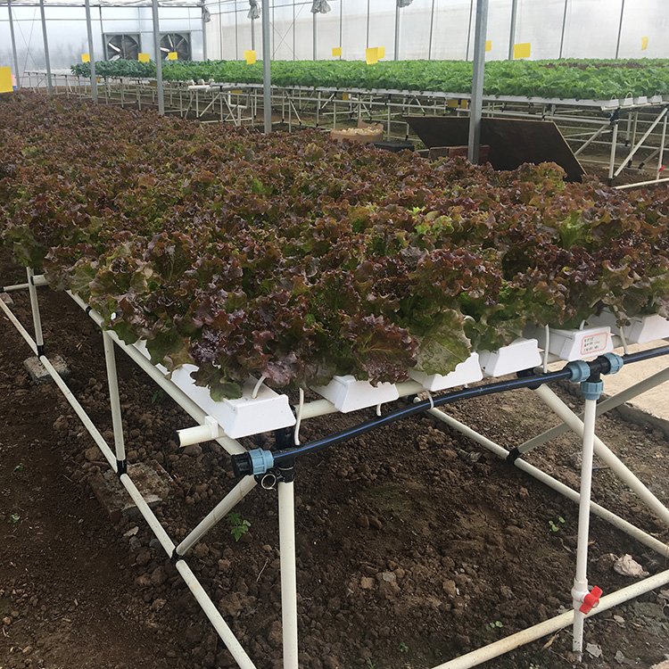 Lettuce Planting Tool PVC Channel Grow System for Lettuce Strawberry