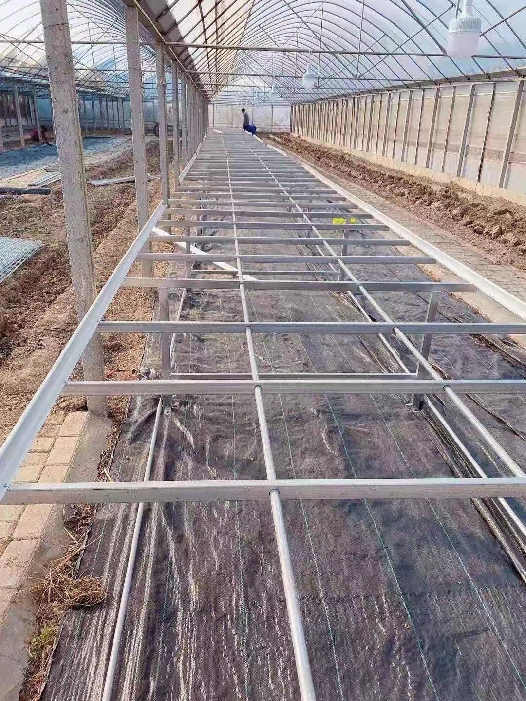 Popular nursery agricultural flower greenhouse hydroponic planting system galvanized wire mesh fixed rolling bench grow table