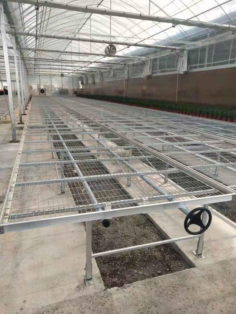 Popular nursery agricultural flower greenhouse hydroponic planting system galvanized wire mesh fixed rolling bench grow table