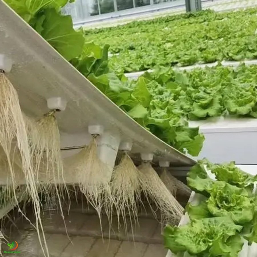 5x5 Rolling benches Ebb and flow table hydroponic grow systems plant nursery bed seed grow tray for sale ,various types
