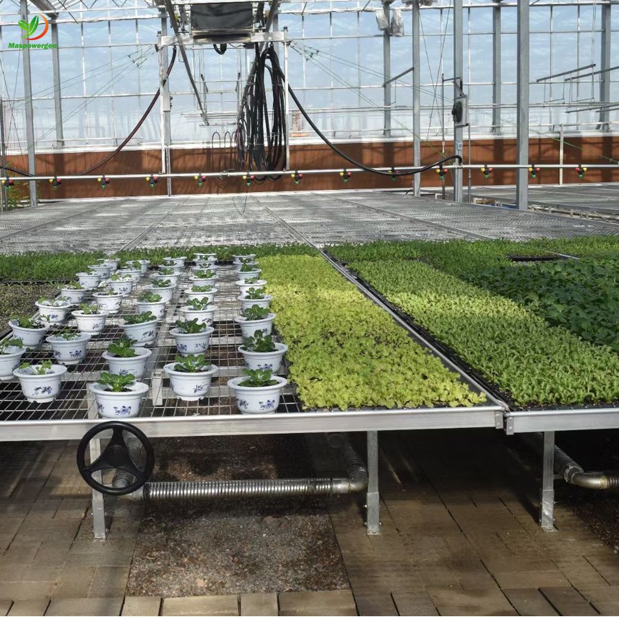 5x5 Rolling benches Ebb and flow table hydroponic grow systems plant nursery bed seed grow tray for sale ,various types