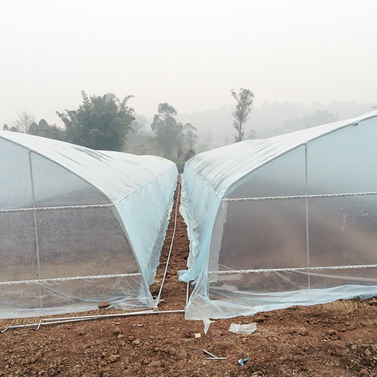 8x60 Meters single span greenhouse long side roof roll up motor greenhouse for vegetables planting